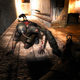 Illustration for article titled Could This Be the End of GSC Game World and S.T.A.L.K.E.R. 2?